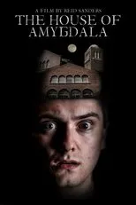 Póster de The House of Amygdala