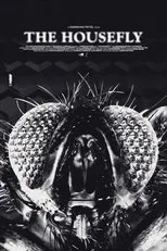 Póster de The Housefly