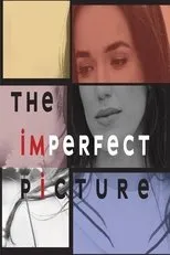 Póster de The Imperfect Picture