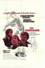 Póster de The inbreaker