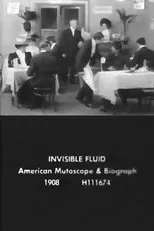 Póster de The Invisible Fluid