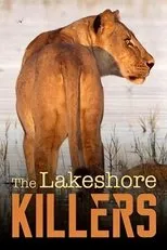 Póster de The Lakeshore Killers