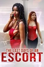 Póster de The Last Days of an Escort