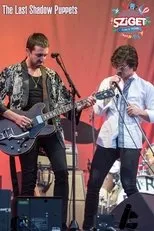 Póster de The Last Shadow Puppets at Sziget Festival