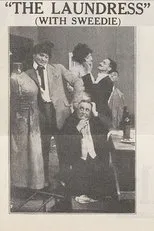 Póster de The Laundress