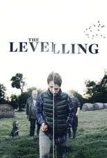 Póster de The Levelling