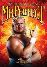 Póster de The Life and Times of Mr. Perfect