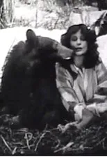 Póster de The Light on Lookout Mountain