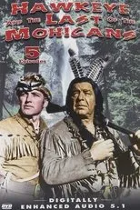 Póster de The Long Rifle and the Tomahawk