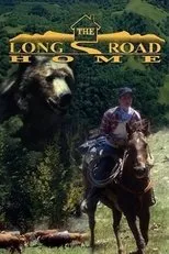 Póster de The Long Road Home