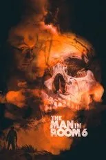 Póster de The Man in Room 6
