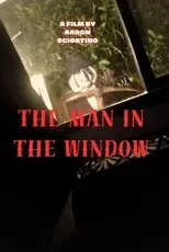 Póster de The man in the window
