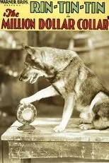 Póster de The Million Dollar Collar