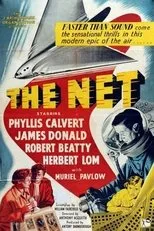 Póster de The Net