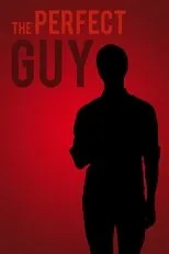 Póster de The Perfect Guy