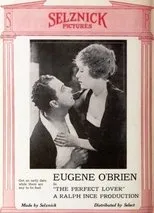 Póster de The Perfect Lover