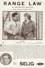Póster de The Range Law