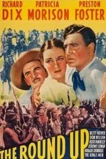 Póster de The Roundup