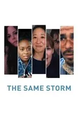 Póster de The Same Storm