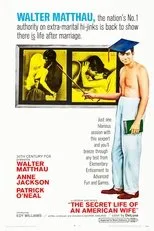 Póster de The Secret Life of an American Wife