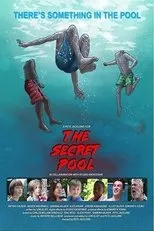 Póster de The Secret Pool