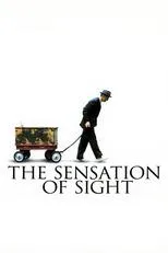 Póster de The Sensation Of Sight
