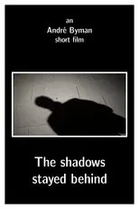Póster de The shadows stayed behind