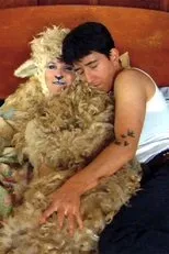 Póster de The Sheep and the Ranch Hand