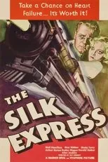 Póster de The Silk Express