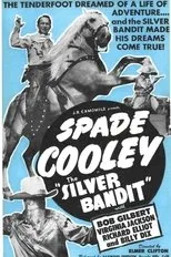 Póster de The Silver Bandit