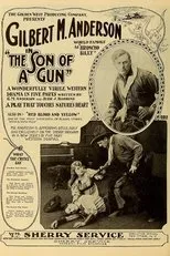 Póster de The Son-of-a-Gun