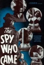 Póster de The Spy Who Came