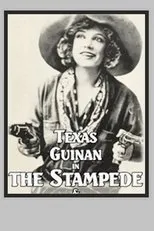 Póster de The Stampede