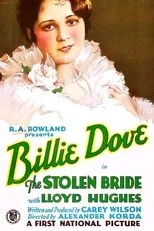 Póster de The Stolen Bride