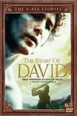 Póster de The Story of David