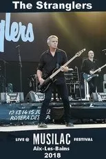 Póster de The Stranglers at Musilac Festival