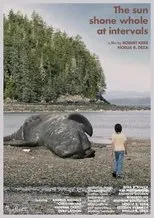 Póster de The Sun Shone Whole at Intervals