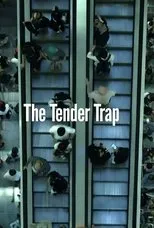 Póster de The Tender Trap