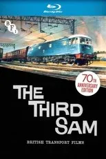 Póster de The Third Sam