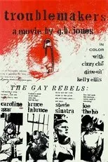 Póster de The Troublemakers