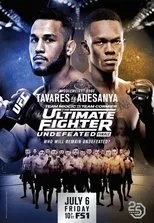 Póster de The Ultimate Fighter 27 Finale