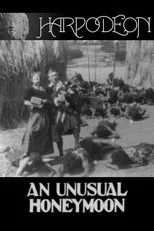 Póster de The Unusual Honeymoon