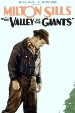 Póster de The Valley of the Giants