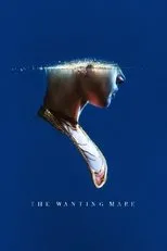 Póster de The Wanting Mare