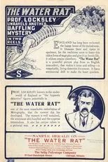 Póster de The Water Rat