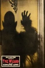 Póster de The Wizard