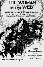 Póster de The Woman in the Web
