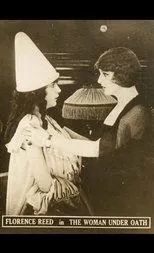 Póster de The Woman Under Oath