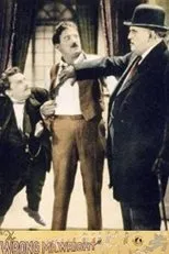 Póster de The Wrong Mr. Wright