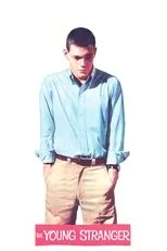 Póster de The Young Stranger